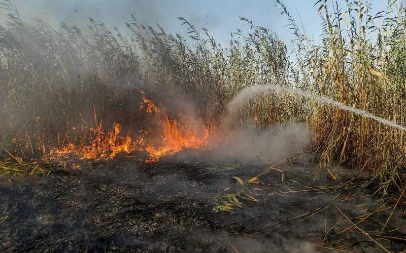 ادامه آتشسوزی در بخش ایرانی هورالعظیم ادامه آتشسوزی در بخش ایرانی هورالعظیم