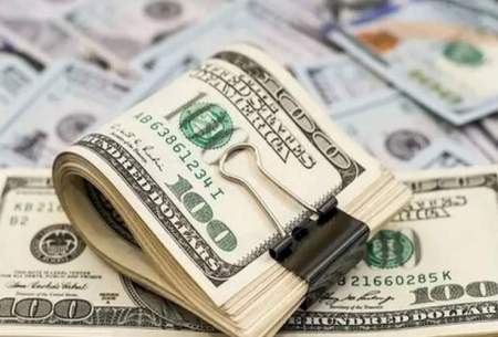 ابربدهکاران ارزی و پشت‌پرده تراستی‌ها معرفی شوند