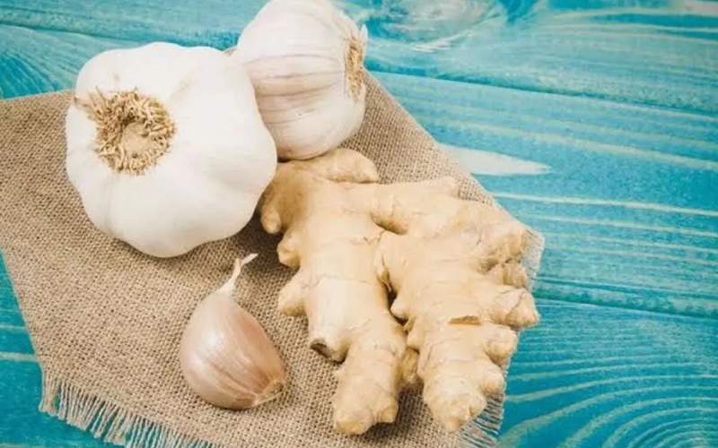 ۴ آنتیبیوتیک طبیعی رابشناسید ۴ آنتیبیوتیک طبیعی رابشناسید