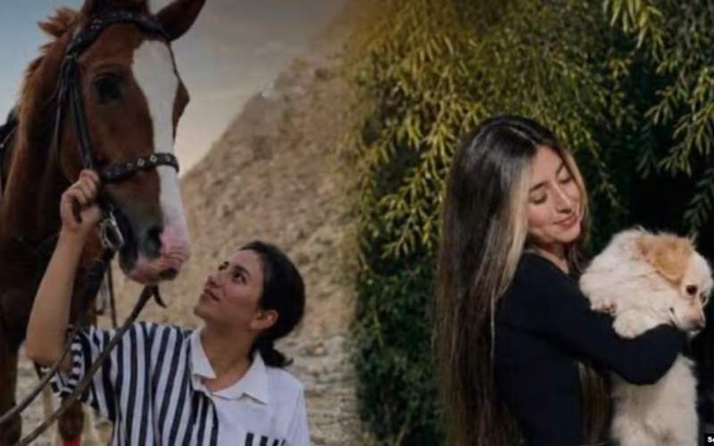ترانه رحیمی (چپ) به همراه خواهرش رومینا در این پرونده در مظان اتهام است
