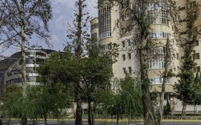 خشک شدن هزاران چنار در کرج