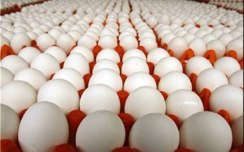 بالاخره تخم&zwnj;مرغ برای قلب مفید است یا مضر؟