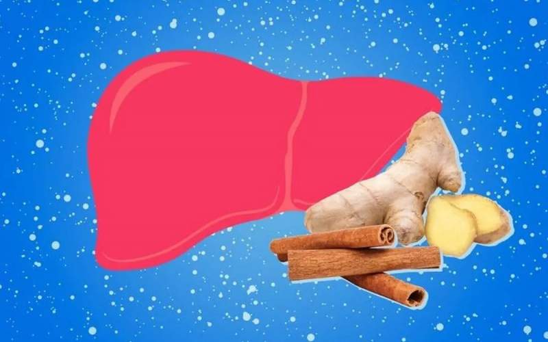 بهترین ادویه&zwnj;ها برای سلامت کبد