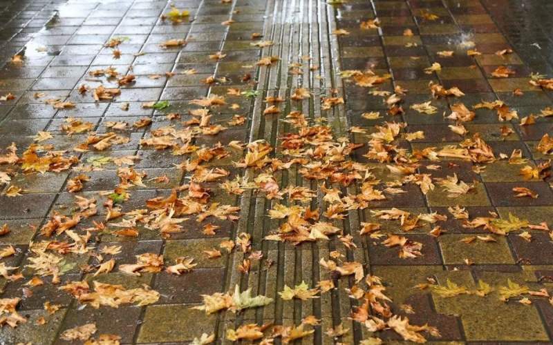 بارش&zwnj;های پاییزی از هفته سوم مهر آغاز می&zwnj;شود